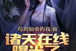 爆料视频小说,爆料背后的惊心动魄