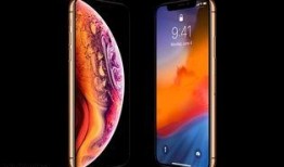 苹果价格最新爆料图今天,行情波动，市场动态一览